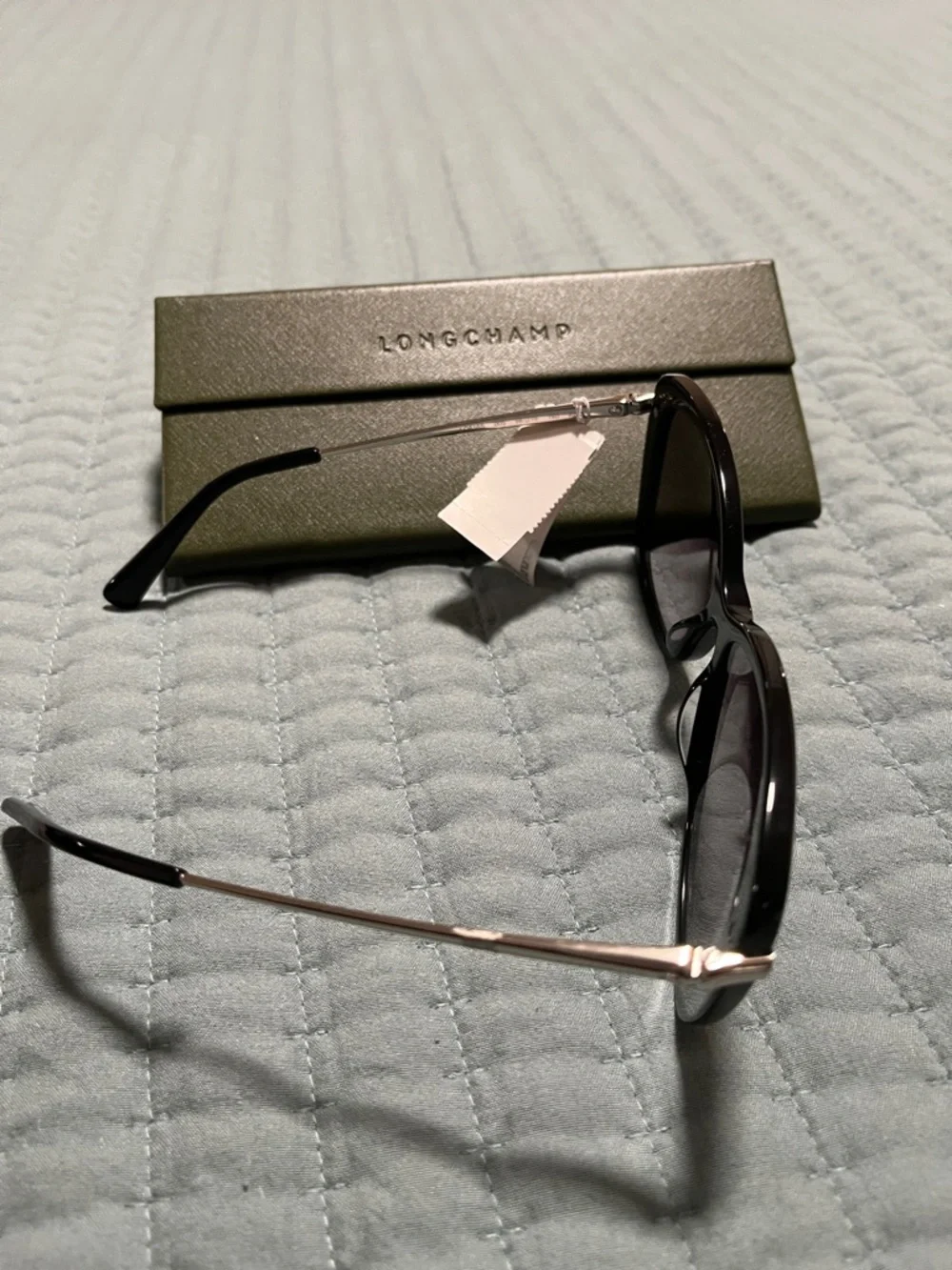New Longchamp Women's Gradient Oversized Sunglasses